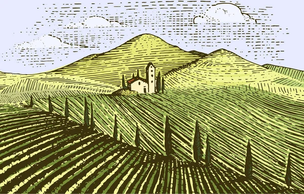 Vintage gravado, desenhado à mão vinhas paisagem, campos de toscana, velho olhar scratchboard ou estilo tatooo —  Vetores de Stock