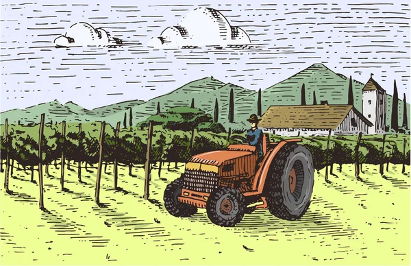 Vintage gegraveerd, hand getrokken wijngaarden landschap, tuskany velden, oud uitziende scratchboard of tatooo stijl — Stockvector