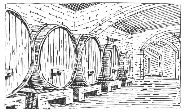 Botti di vino in cantina vintage vecchio aspetto vettoriale illustrazione incisa, disegnato a mano stile scratchboard — Vettoriale Stock