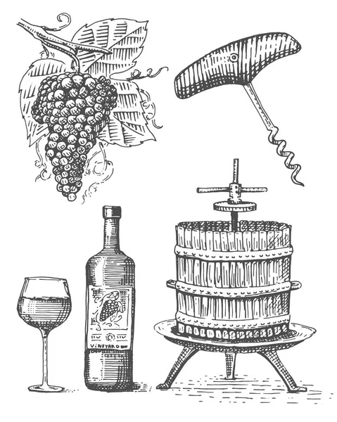 Pressione para esboço de uvas garrafa de vinho saca-rolhas e vidro em estilo vintage, gravada ilustração xilogravura — Vetor de Stock