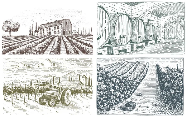 Vintage kazınmış, elle çizilmiş üzüm bağları manzara, tuskany alanlar, eski görünümlü scratchboard veya tatooo stil