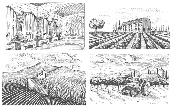 Vintage gravado, desenhado à mão vinhas paisagem, campos de toscana, velho olhar scratchboard ou estilo tatooo —  Vetores de Stock