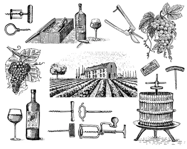 Wina zbiorów produktów, prasy, winogrona, winnice Korkociągi butelki okulary w stylu vintage, grawerowane ręcznie rysowane — Wektor stockowy