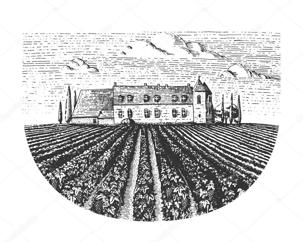 Vintage engraved, hand drawn vineyards landscape, tuskany fields, old looking scratchboard or tatooo style