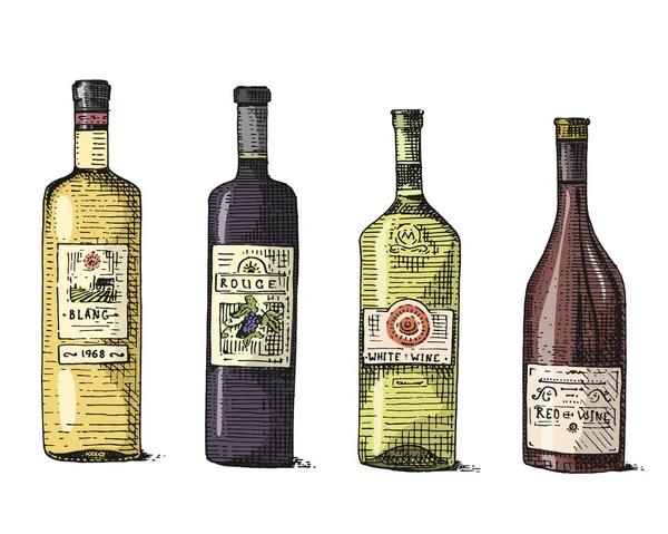 Бутылка вина ручной работы выгравированы старые глядя винтажные иллюстрации — стоковый вектор