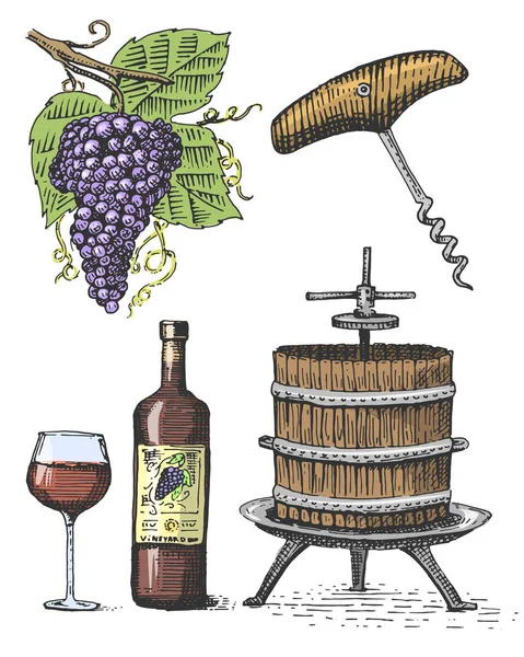 Pressione para esboço de uvas garrafa de vinho saca-rolhas e vidro em estilo vintage, gravada ilustração xilogravura — Vetor de Stock