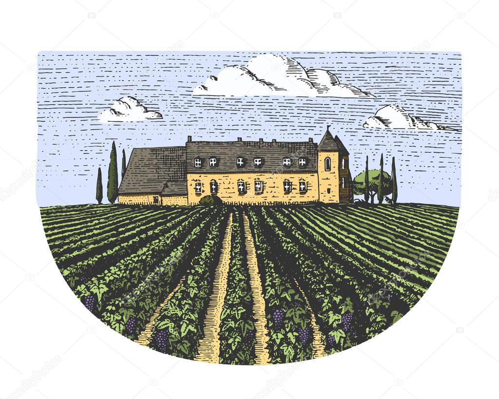 Vintage engraved, hand drawn vineyards landscape, tuskany fields, old looking scratchboard or tatooo style