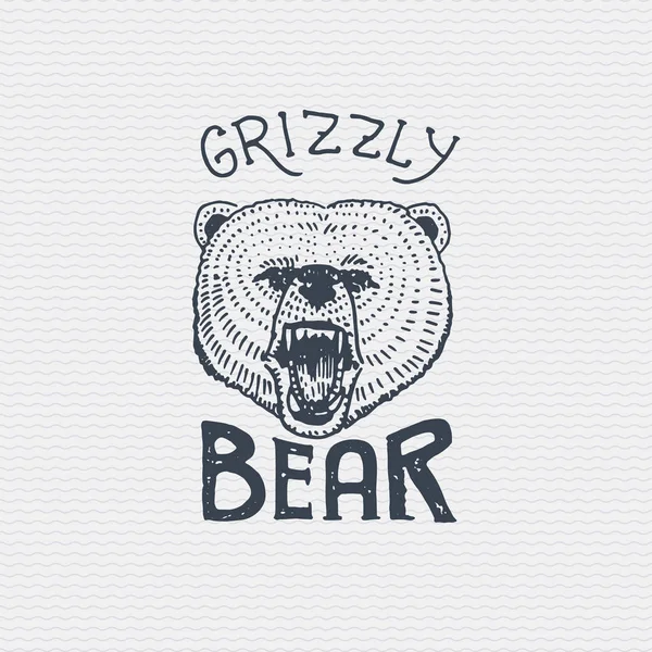 Alte Logo oder Abzeichen, Etikett graviert und alte Hand gezeichnet Stil mit wildem Grizzlybär — Stockvektor