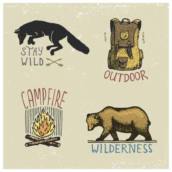 Ensemble de vintage gravé, dessiné à la main, vieux, étiquettes ou insignes pour le camping, randonnée, chasse avec loup sauvage, grizzli, feu de camp, sac à dos — Image vectorielle