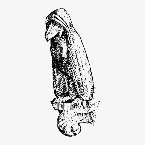 Gargoyle Chimère de Notre-Dame de Paris, gravé, illustration vectorielle dessinée à la main avec des gardiens gothiques comprennent des éléments architecturaux, statue d'époque médiévale — Image vectorielle