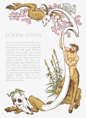 Ortaçağ veya antik çerçeve dekorasyon kafatasları, tavşan ve vintage oyulmuş, Yunan mitolojisinde sınır metniniz için tutan Erboğa ile el çekilmiş