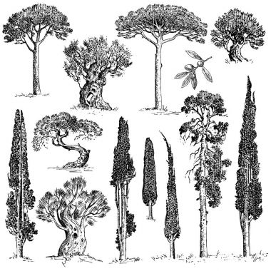 büyük oyulmuş, elle çizilmiş ağaçlar içerir çam, zeytin ve selvi, köknar ağacı orman yalıtılmış nesne
