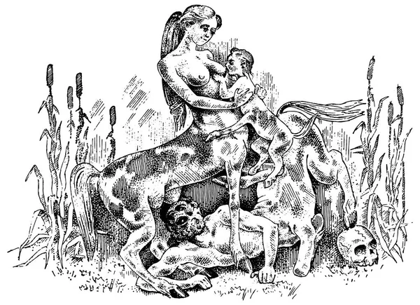 Centaure femelle nourrissant son illustration de bébé, dessiné ou gravé à la main vieux regardant fantastique, bêtes de conte de fées moitié homme avec corps de cheval, mythologie grecque — Image vectorielle