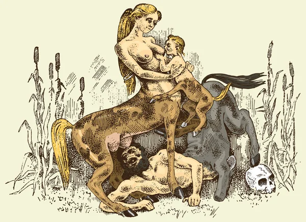 Hembra Centaurus alimentar a su bebé ilustración, dibujado a mano o grabado viejo buscando fantástico, bestias de cuento de hadas mitad hombre con cuerpo de caballo, mitología griega — Vector de stock