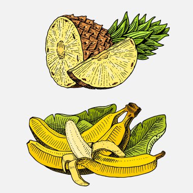 dizi el çekilmiş, oyulmuş taze meyve, vejetaryen yemek, bitkiler, muz ve ananas seyir vintage.