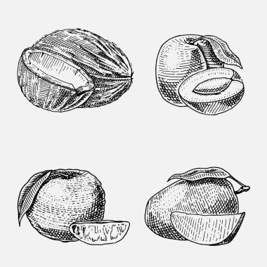 dizi el çekilmiş, oyulmuş taze meyve, vejetaryen yemek, bitkiler, Hindistan cevizi, mango ve mandalina, Ermeni Erik arıyor vintage.