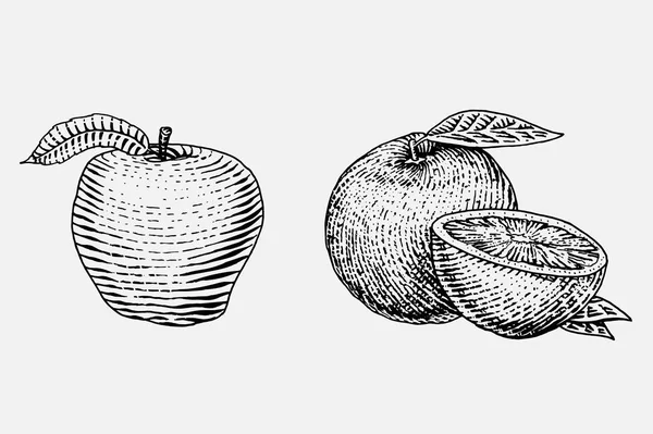 Conjunto de frutas frescas dibujadas a mano, grabadas, comida vegetariana, plantas, de aspecto vintage naranja y manzana roja — Archivo Imágenes Vectoriales