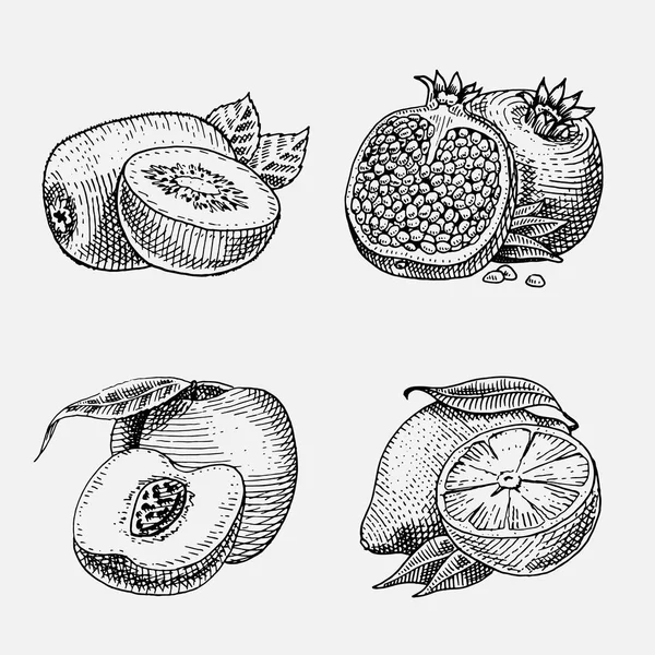 Handgezeichnetes, graviertes frisches Obst, vegetarisches Essen, Pflanzen, Kiwi im Vintage-Look, pfirsichgelbe Zitrone und Granatapfel. — Stockvektor