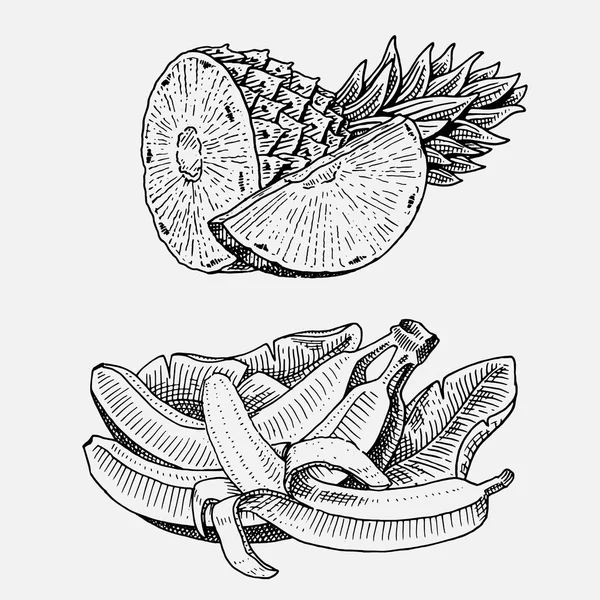 Set von handgezeichneten, gravierten frischen Früchten, vegetarischem Essen, Pflanzen, Bananen im Vintage-Look und Ananas. — Stockvektor
