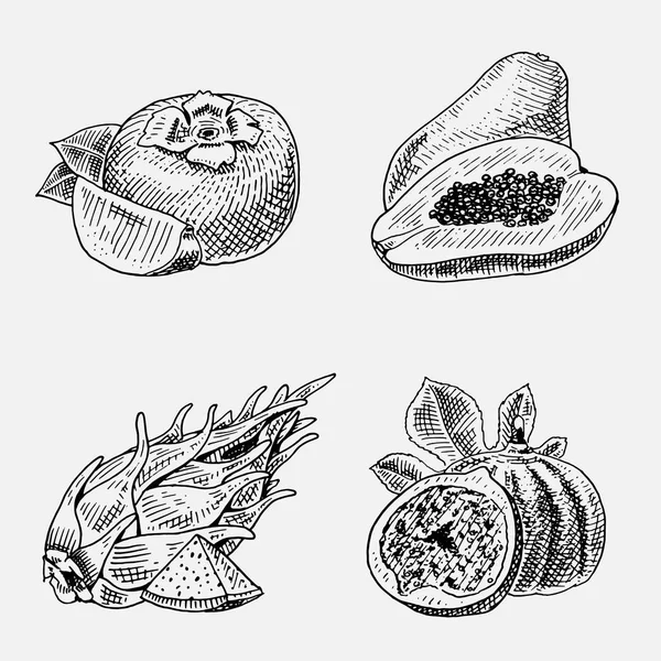 Conjunto de dibujado a mano, frutas frescas grabadas, comida vegetariana, plantas, higo común de aspecto vintage, caquis y pitaya, papaya . — Archivo Imágenes Vectoriales