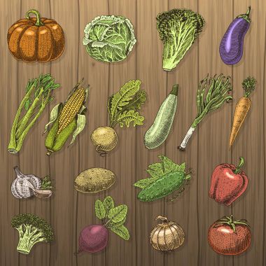 dizi el çekilmiş, oyulmuş sebze, vejetaryen yemek, bitkiler, kabak, cabage ve domates, marul, havuç, Mısır ve diğerleri ile seyir vintage
