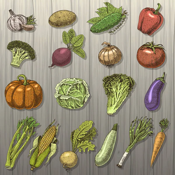 Conjunto de verduras dibujadas a mano, grabadas, comida vegetariana, plantas, calabaza de aspecto vintage, cabaña y tomate, lechuga con zanahoria, maíz y otros — Vector de stock