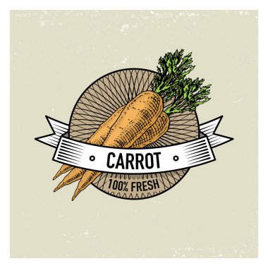 Etiketleri, amblem ve logo vejeteryan yemek için havuç Vintage ayarla, sebze çizilmiş veya oyma el. Retro çiftlik Amerikan tarzı.