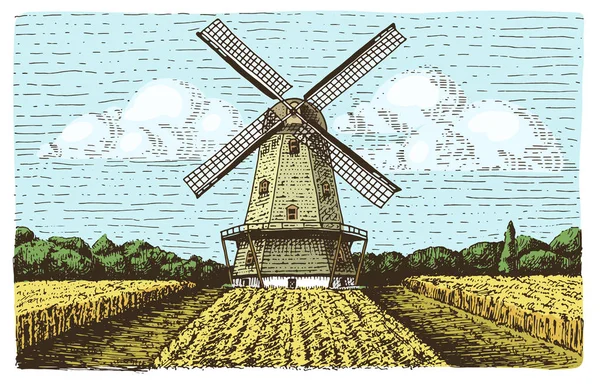 Paisaje de molino de viento en estilo vintage, retro dibujado a mano o grabado, se puede utilizar para el logotipo de la panadería, campo de trigo con edificio antiguo — Vector de stock