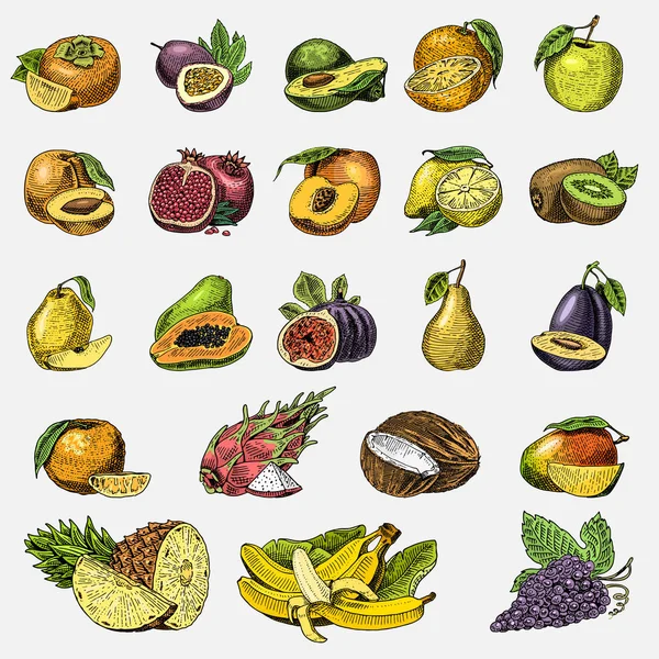 Conjunto de frutas frescas, alimentos vegetarianos, plantas, naranja vintage y manzana, uva con coco, gragonfruit, pera, melocotón, ciruela . — Archivo Imágenes Vectoriales