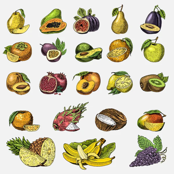 Jeu de fruits frais gravés, dessinés à la main, nourriture végétarienne, plantes, orange et pomme vintage, raisin à la noix de coco, gragonfruit, poire, pêche, prune . — Image vectorielle