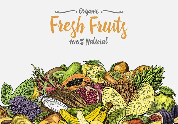 Vintage, elle çizilmiş taze meyve arka plan, yaz bitkiler, vejetaryen ve organik narenciye ve diğer, kazınmış. ananas, limon, papaya, pitaya, maracuya ve muz. — Stok Vektör