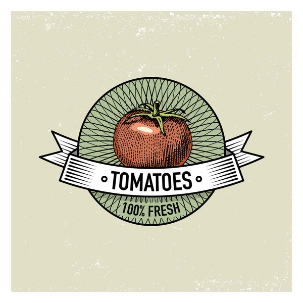 Tomates Conjunto vintage de etiquetas, emblemas o logotipo para alimentos vegetarianos, verduras dibujadas a mano o grabadas. Granja retro estilo americano . — Vector de stock