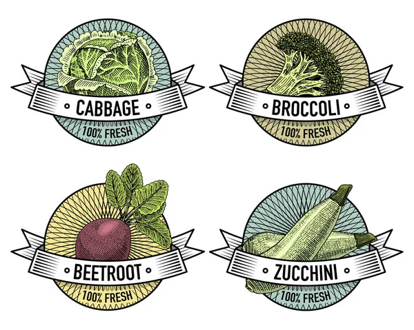 Conjunto vintage de etiquetas, emblemas o logotipo para alimentos vegetarianos, verduras dibujadas a mano o grabadas. Granja retro estilo americano . — Vector de stock