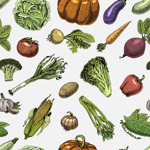 Nahtloses Muster mit Skizze von Gemüse und Gewürzen. handgezeichnete, gravierte vegetarische Kost — Stockvektor