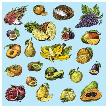 el kümesi oyulmuş taze meyve, vejetaryen yemek, bitkiler, vintage portakal ve elma, Hindistan cevizi, gragonfruit, armut, şeftali, üzüm Erik tanzim.