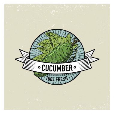 Etiketleri, amblem ve logo vejeteryan yemek için salatalık Vintage ayarla, sebze çizilmiş veya oyma el. Retro çiftlik Amerikan tarzı.