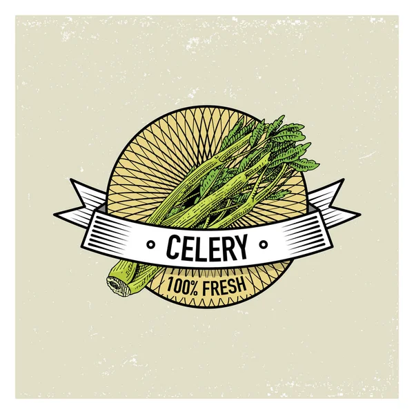 Zeller Vintage címkék, matricák, vagy logó a vegetáriánusok élelmiszer, a zöldségek kézzel rajzolt vagy gravírozott. Retro farm amerikai stílusú. — Stock Vector