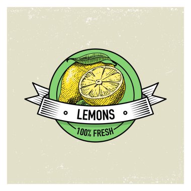 Limon Vintage, elle çizilmiş taze meyve arka plan, yaz bitkiler, vejetaryen ve organik narenciye ve diğer, oyulmuş.