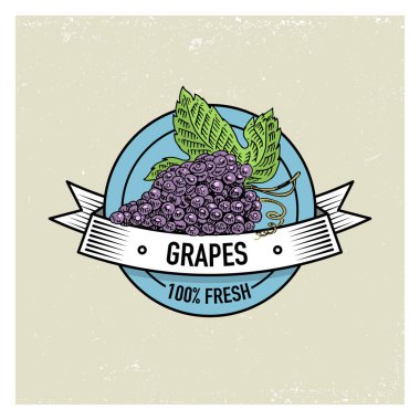 Üzüm Vintage, elle çizilmiş taze meyve arka plan, yaz bitkiler, vejetaryen ve organik narenciye ve diğer, oyulmuş.