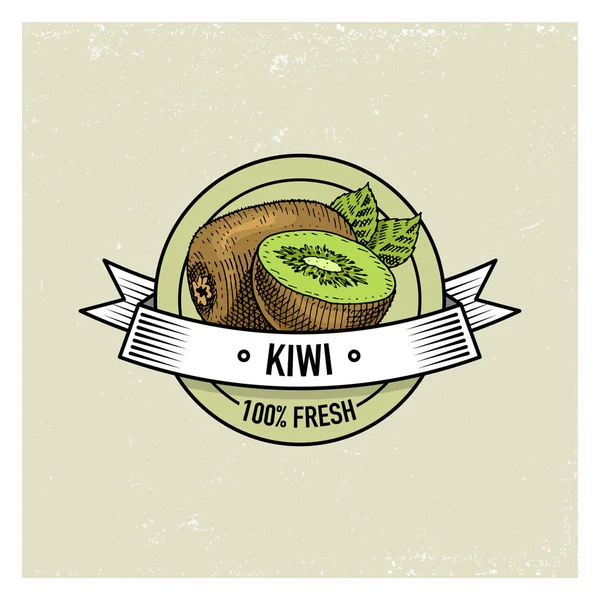 Kiwi-Jahrgang, handgezeichnete frische Früchte Hintergrund, Sommerpflanzen, vegetarische und Bio-Zitrusfrüchte und andere, graviert. — Stockvektor