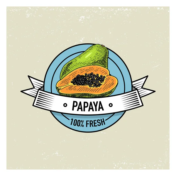 Papaya évjárat, kézzel rajzolt friss gyümölcsök háttér, nyári növények, vegetáriánus és a bio citrus és egyéb, vésett. — Stock Vector