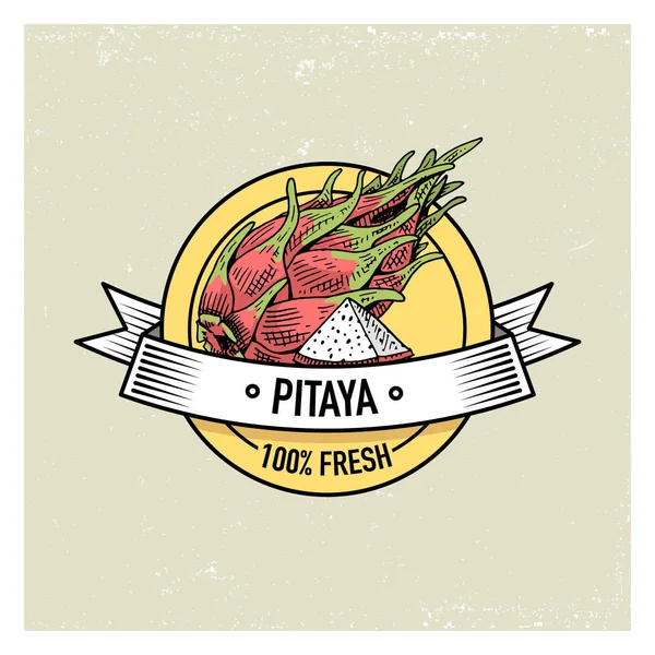 Pitaya o Dragon Fruts Vintage, fondo de fruta fresca extraída a mano, plantas de verano, cítricos vegetarianos y orgánicos y otros, grabados . — Vector de stock