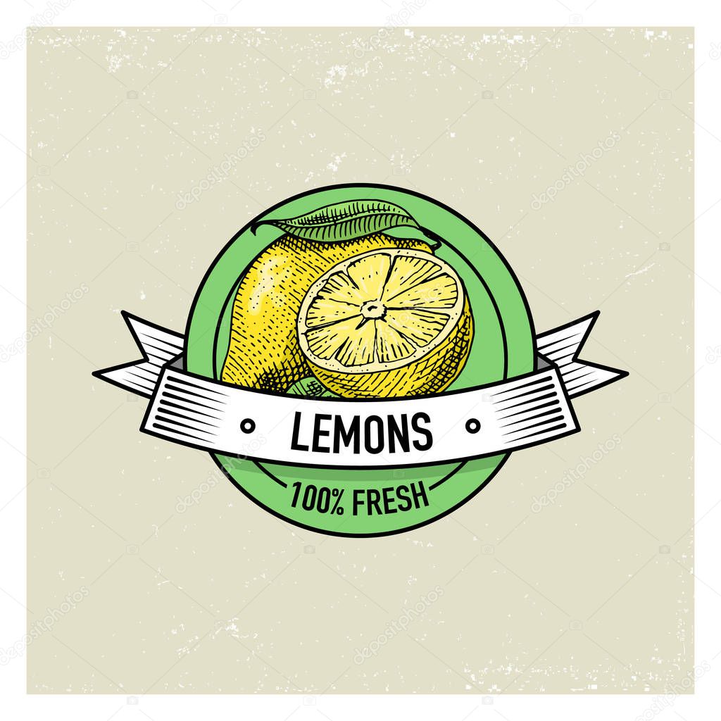 Lemon Vintage, hand drawn fresh fruits background, summer plants, vegetarian and organic citrus and other, engraved