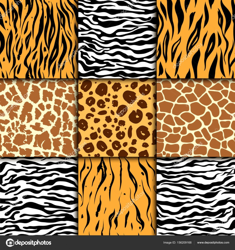 Animal Prints ~ Zebra, Tiger, Leopard, Giraffe