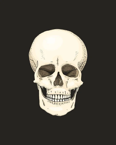 Realistické lebka s barvou kostí na černém pozadí. gravírované ručně kreslenou starý nákres a tetování nebo vintage stylu. Detailní záběr pirát. — Stockový vektor