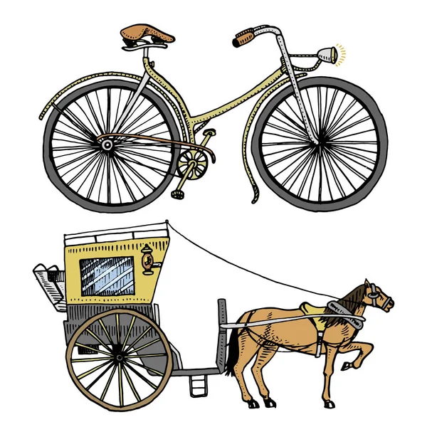 Häst och vagn eller coach och cykel, cykel eller velociped. resa illustration. graverade handritad i gammal skiss stil, vintage transport. — Stock vektor
