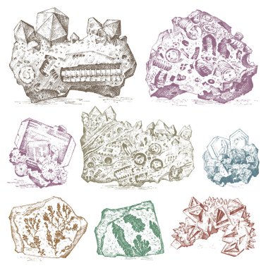 Fossilized plants, stones and minerals, crystals, prehistoric animals, archeology or paleontology. fragment fossils. engraved hand drawn in old sketch and vintage style. clipart