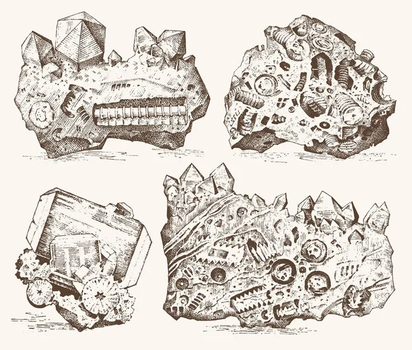 Plantas fossilizadas, pedras e minerais, cristais, animais pré-históricos, arqueologia ou paleontologia. fósseis de fragmentos. mão gravada desenhada em esboço antigo e estilo vintage . —  Vetores de Stock