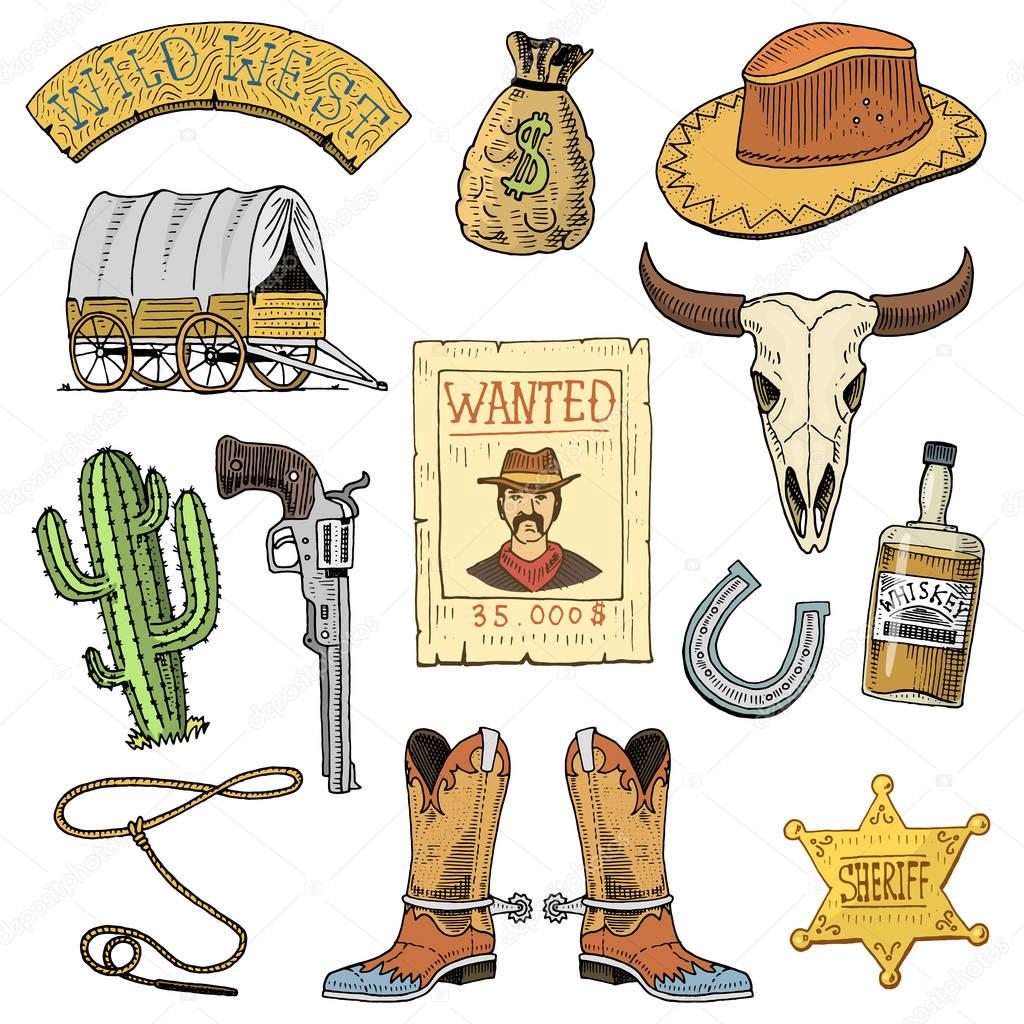 Wild west, rodeo show, cowboy or indians with lasso. hat and gun, cactus with sheriff star and bison, boot with horseshoe and wanted poster. engraved hand drawn in old sketch or and vintage style.