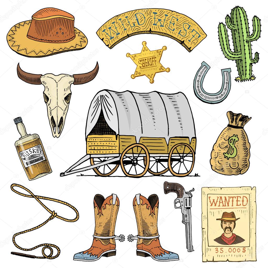 Wild west, rodeo show, cowboy or indians with lasso. hat and gun, cactus with sheriff star and bison, boot with horseshoe and wanted poster. engraved hand drawn in old sketch or and vintage style.